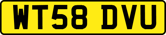 WT58DVU