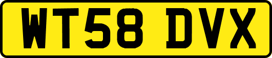WT58DVX
