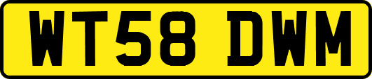 WT58DWM
