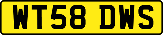 WT58DWS