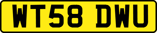 WT58DWU