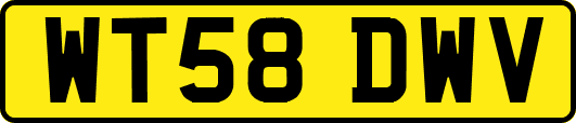 WT58DWV