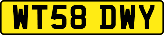 WT58DWY