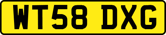 WT58DXG