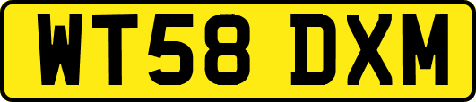 WT58DXM