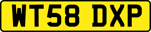 WT58DXP