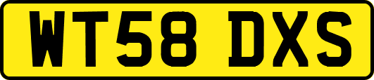 WT58DXS