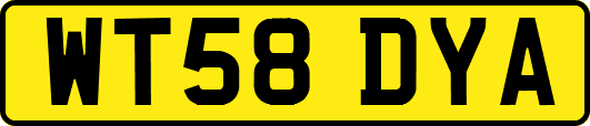 WT58DYA