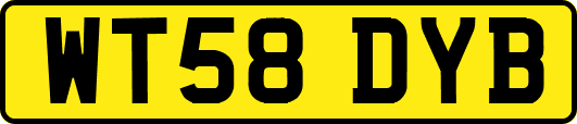 WT58DYB