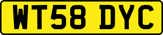 WT58DYC