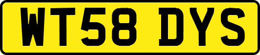 WT58DYS