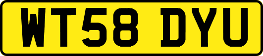 WT58DYU