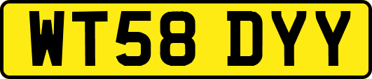 WT58DYY