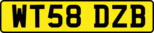 WT58DZB