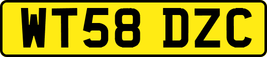 WT58DZC