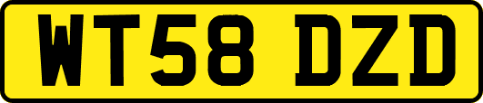 WT58DZD