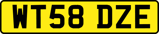 WT58DZE