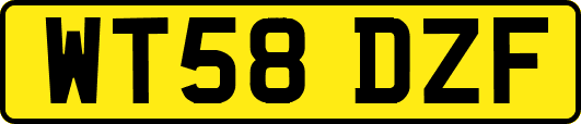 WT58DZF