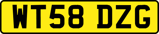 WT58DZG