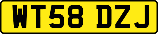 WT58DZJ