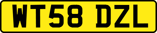 WT58DZL