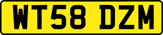 WT58DZM