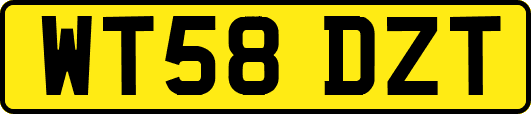 WT58DZT