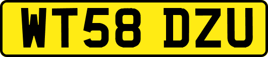 WT58DZU