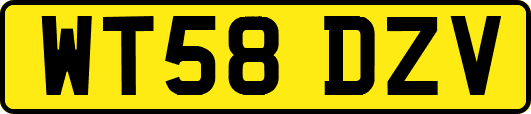 WT58DZV