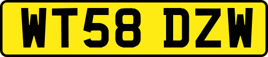 WT58DZW