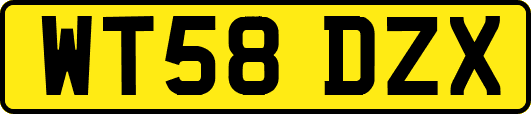 WT58DZX