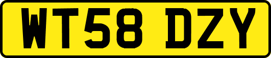 WT58DZY