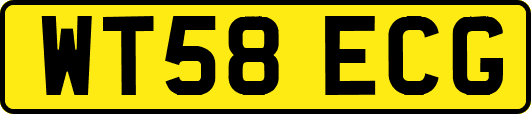 WT58ECG