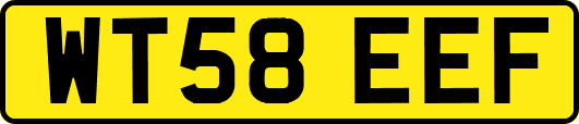 WT58EEF