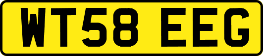 WT58EEG