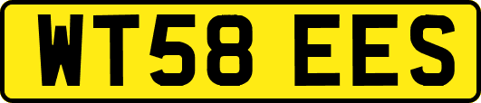 WT58EES