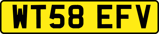 WT58EFV