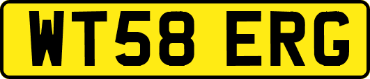 WT58ERG