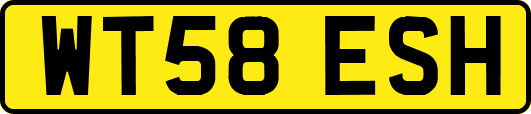 WT58ESH