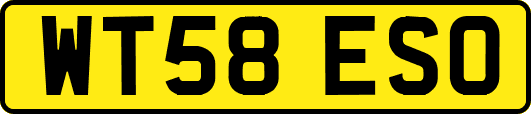 WT58ESO