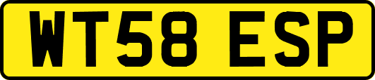 WT58ESP
