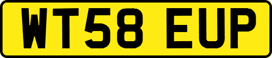 WT58EUP