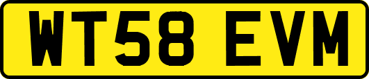 WT58EVM