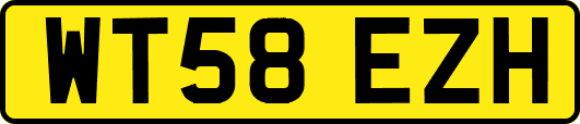 WT58EZH