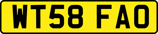 WT58FAO