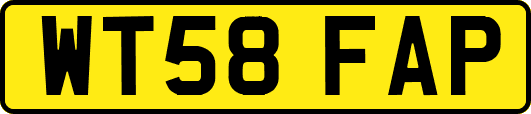 WT58FAP