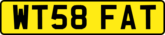 WT58FAT