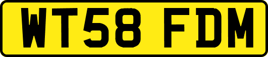 WT58FDM
