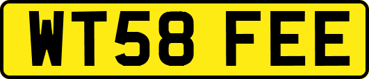 WT58FEE