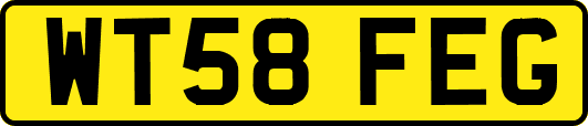 WT58FEG